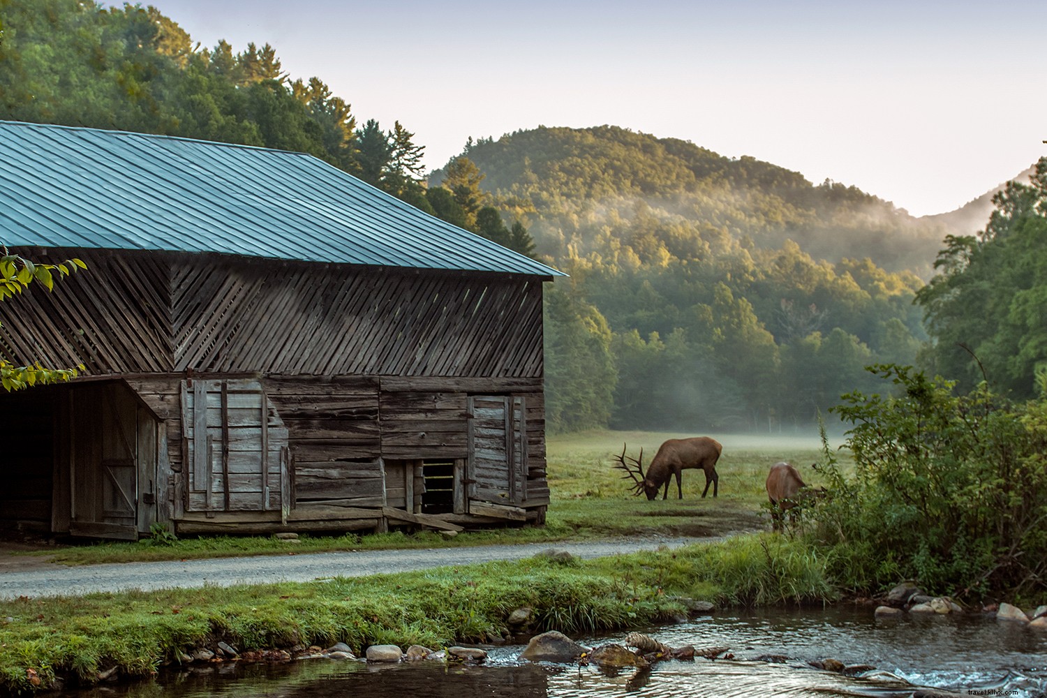 Katakan Hay Now ke Permata Appalachian Carolina Utara 